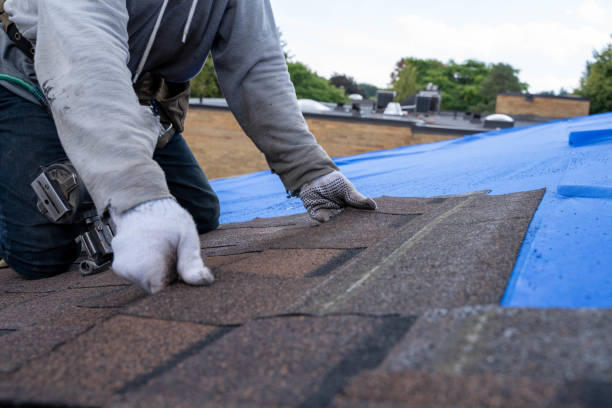 Best Local Roofing Companies  in Baldwin City, KS