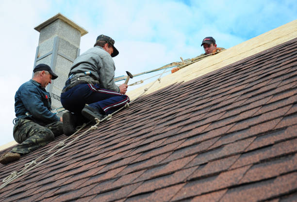 Best Roof Inspection Near Me  in Baldwin City, KS